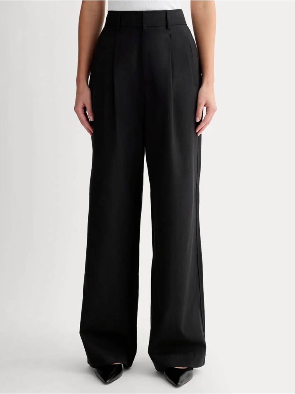 Everlane “Way High Drape Pant” Pleated Trousers - Black, Size 2S (short length)